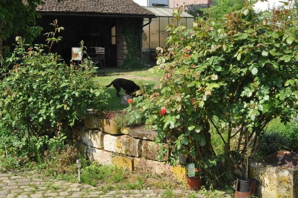 Gaestezimmer - Fuhrhalterei Maul Breuberg Exterior foto