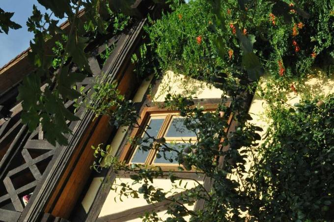 Gaestezimmer - Fuhrhalterei Maul Breuberg Exterior foto
