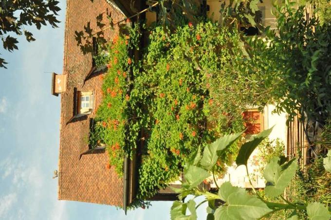 Gaestezimmer - Fuhrhalterei Maul Breuberg Exterior foto